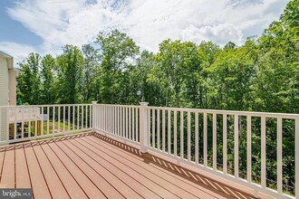 310 Tree Line Dr in Fredericksburg, VA - Building Photo - Building Photo