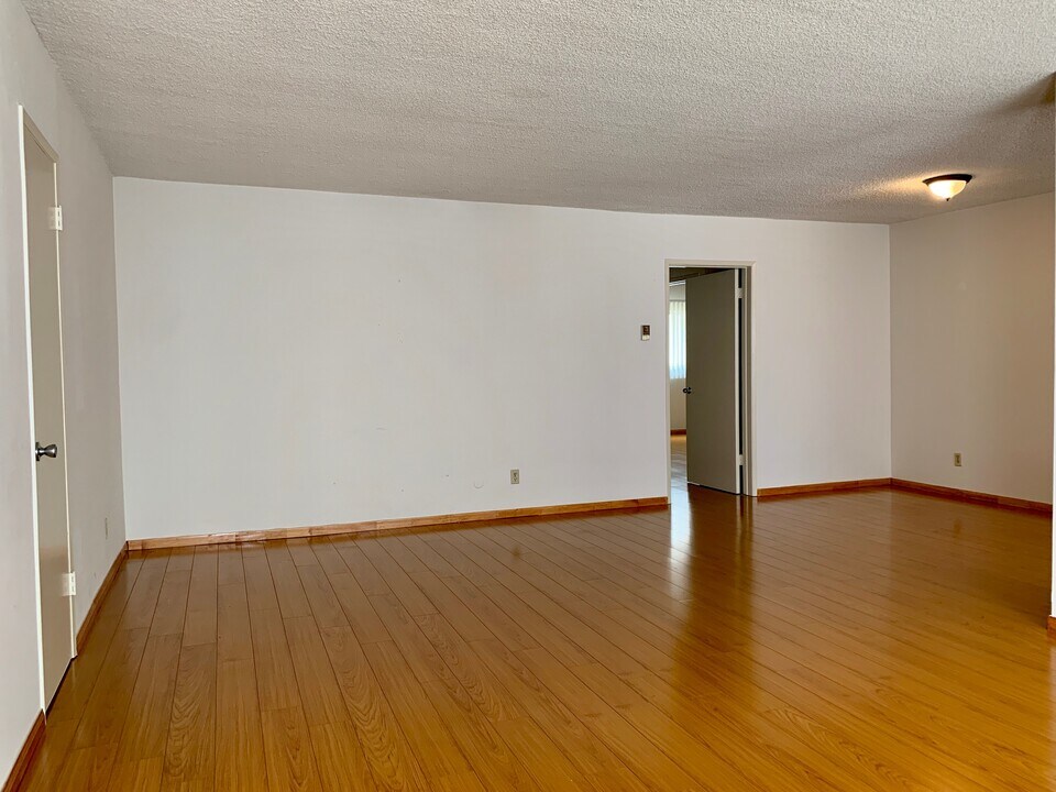 1135 N Ogden Dr in West Hollywood, CA - Building Photo