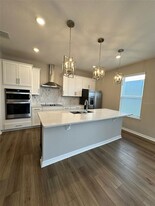 4856 Lacewing Dr in Winter Garden, FL - Building Photo - Building Photo