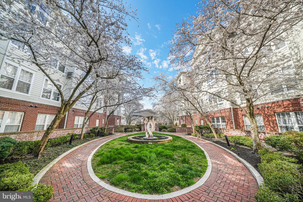 801 S Greenbrier St in Arlington, VA - Building Photo