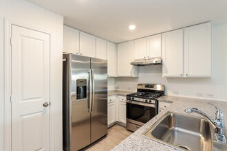 431 Filibusters Trail in San Antonio, TX - Building Photo - Building Photo
