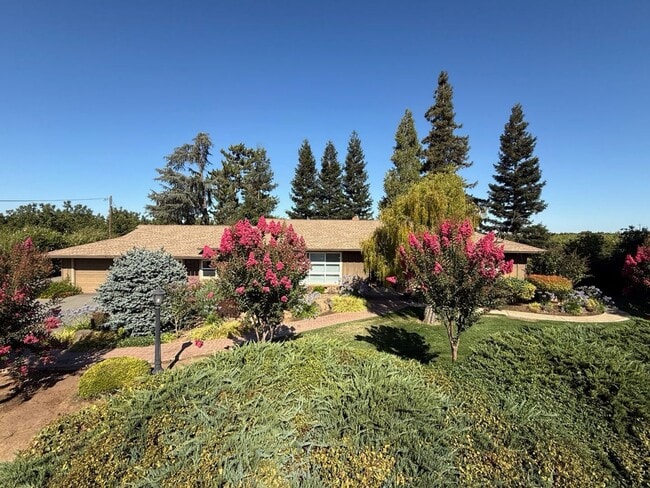 3188 Duncan Rd in Linden, CA - Building Photo - Building Photo