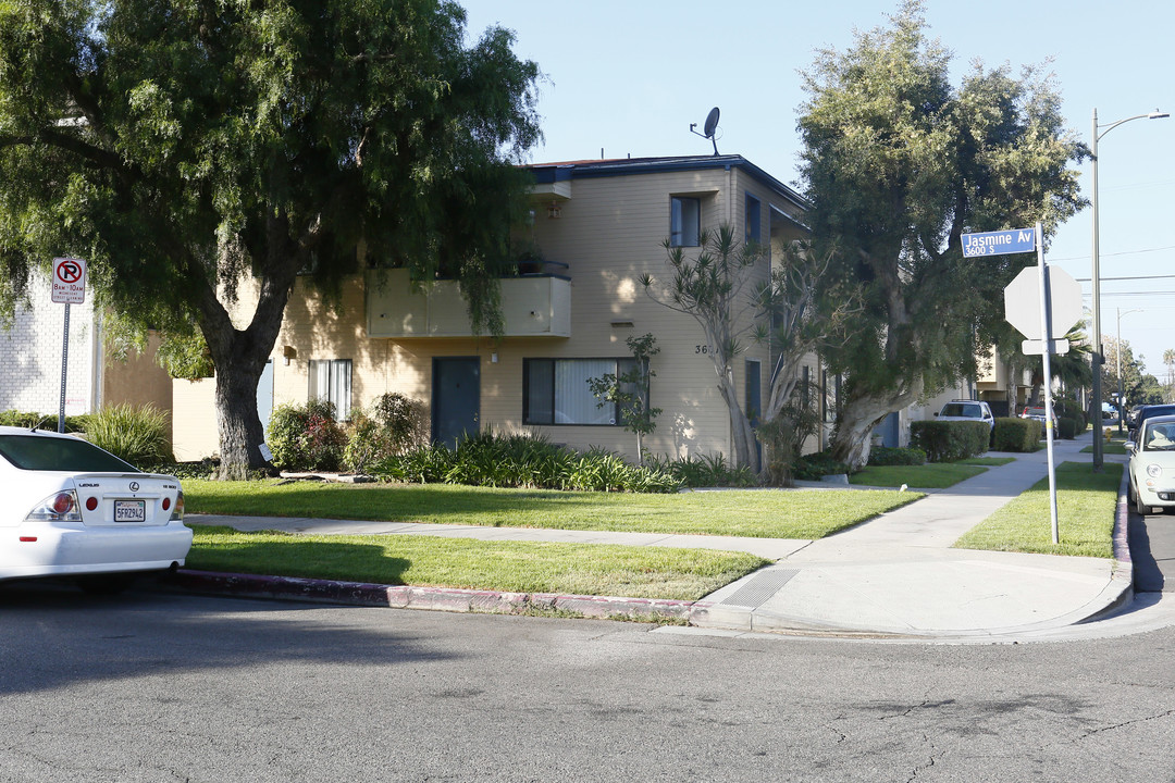 3601 Jasmine Ave in Los Angeles, CA - Foto de edificio