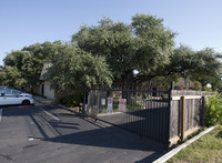 The Palm in Austin, TX - Foto de edificio - Building Photo