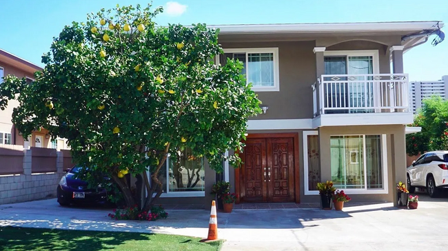 property at 3155 Olu St