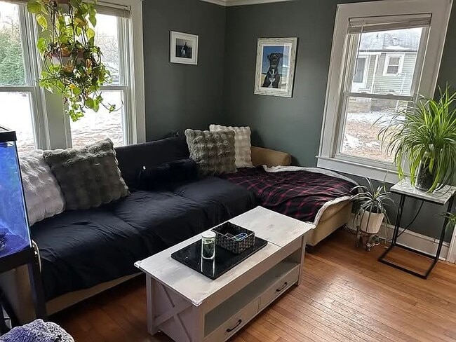 property at 11 Timothy Ln