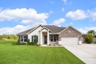 18807 Serene Water Dr in Montgomery, TX - Building Photo