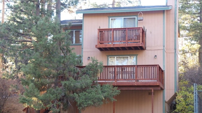 233 E Starr Dr in Big Bear, CA - Building Photo - Building Photo