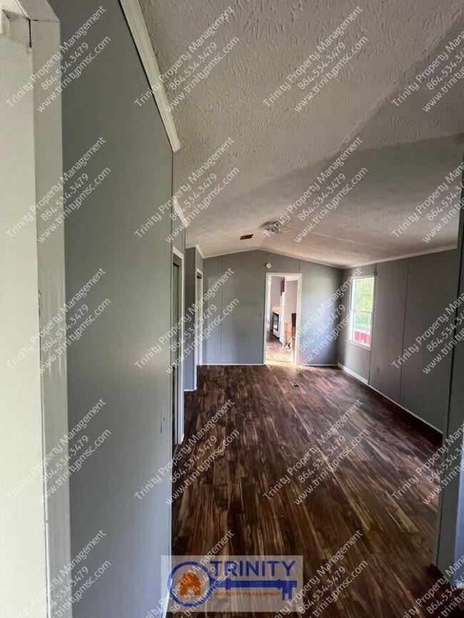 20 Big Foot Dr in Marietta, SC - Building Photo - Building Photo