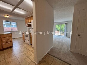 3329 Somerset Way in Carson City, NV - Building Photo - Building Photo
