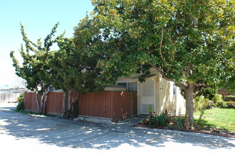 3115 Impala Dr in San Jose, CA - Building Photo - Building Photo