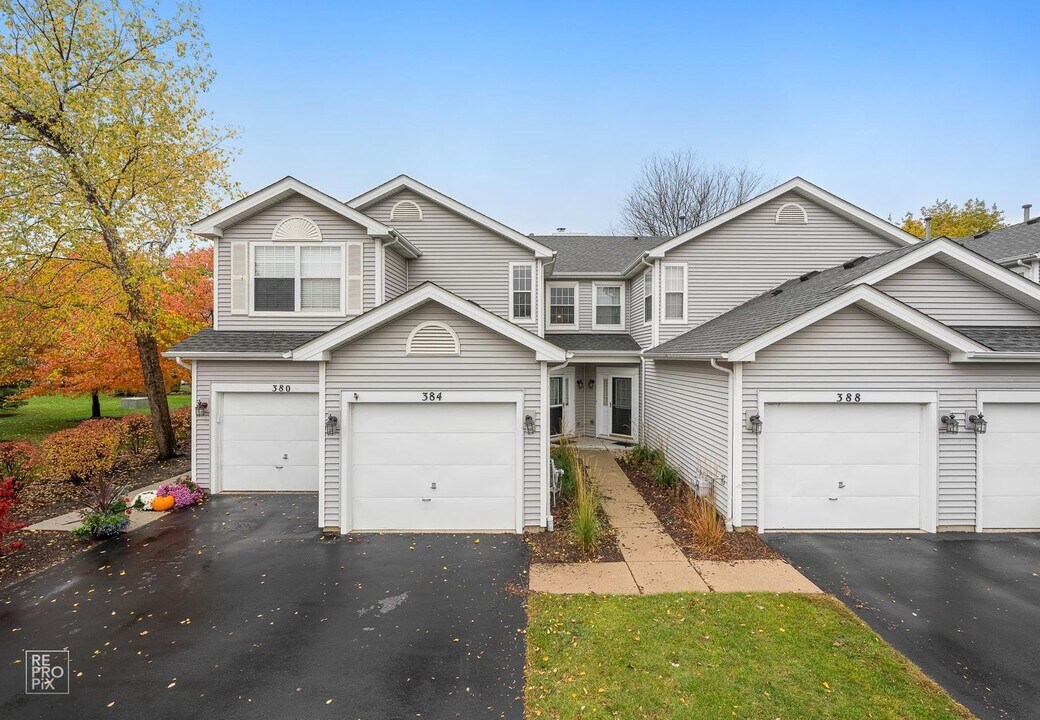 384 Maidstone Ct in Schaumburg, IL - Foto de edificio