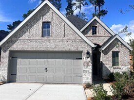 288 Mallorn Ln in Montgomery, TX - Building Photo