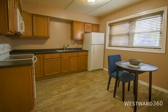 9907 W 58th St-Unit -2 in Countryside, IL - Building Photo - Building Photo