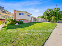 435 S 1450 E in Provo, UT - Foto de edificio - Building Photo