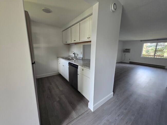 47 4th Ave in Oswego, NY - Building Photo - Building Photo
