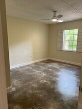 5305 San Sebastian Ct in Tampa, FL - Building Photo - Building Photo