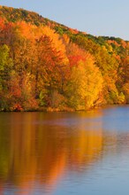 20 Edgewater Cir in Berlin, CT - Foto de edificio - Building Photo