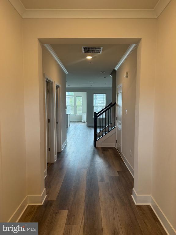 1407 Pinkerton St in Brunswick, MD - Building Photo - Building Photo