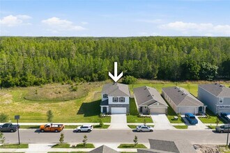 17786 Acorn Drop Rd in Land O Lakes, FL - Building Photo - Building Photo