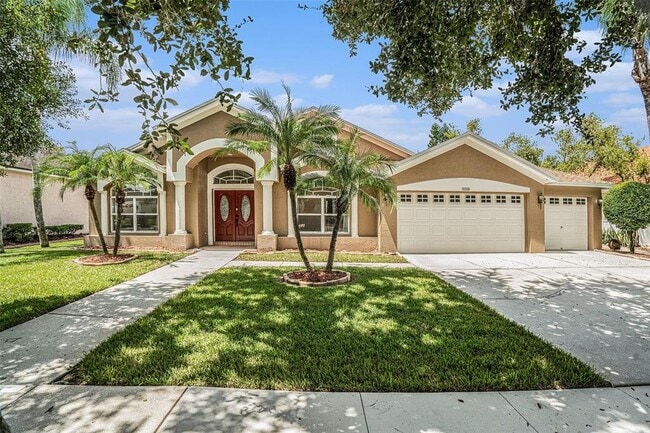 15008 Arbor Hollow Dr in Odessa, FL - Building Photo - Building Photo