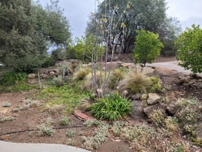 4209 Alpine Blvd in Alpine, CA - Foto de edificio - Building Photo