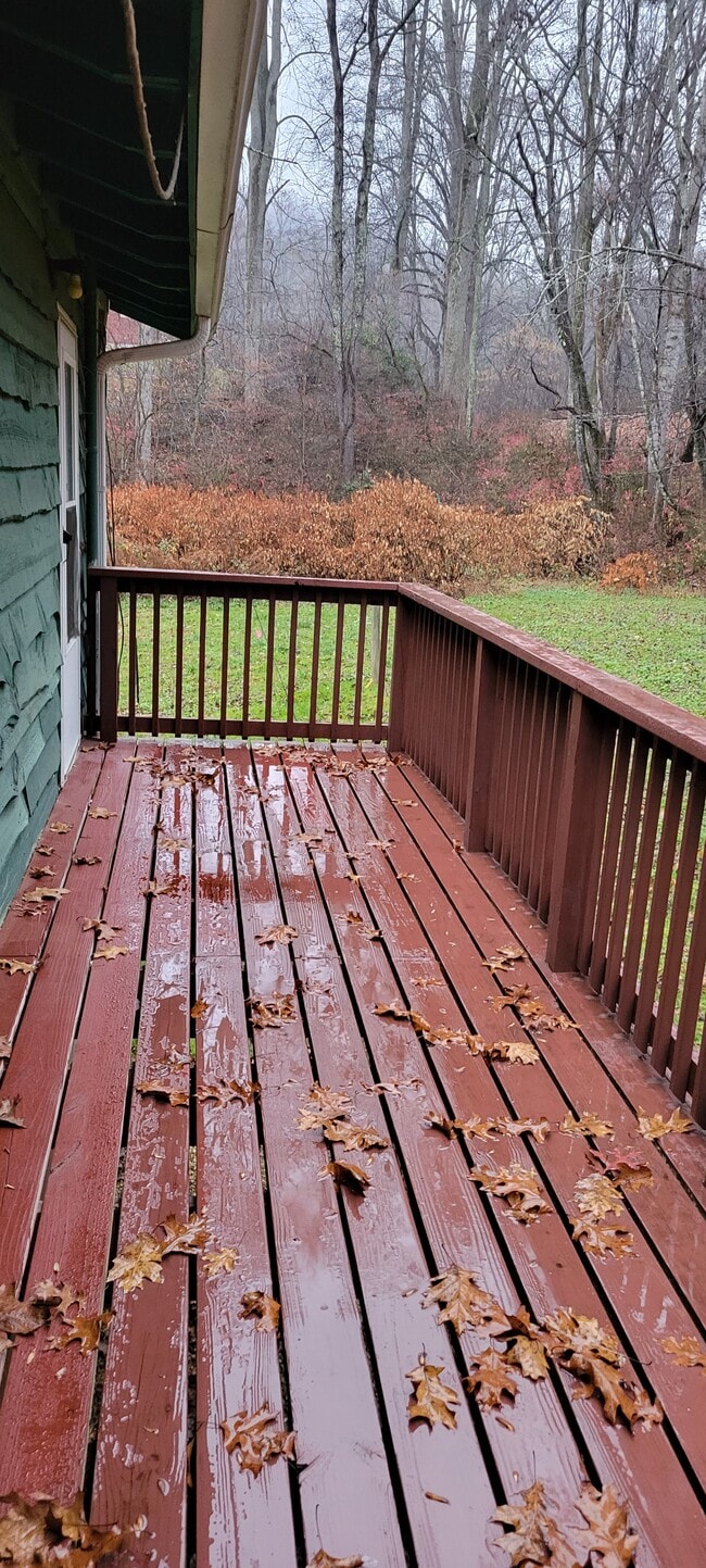 491 Old Balsam Rd in Waynesville, NC - Building Photo - Building Photo