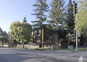 Lytton Gardens in Palo Alto, CA - Building Photo