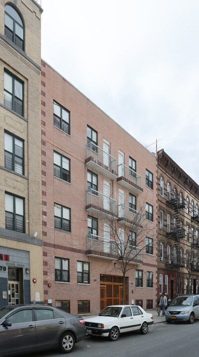 Bedford-Stuyvesant in Brooklyn, NY - Building Photo