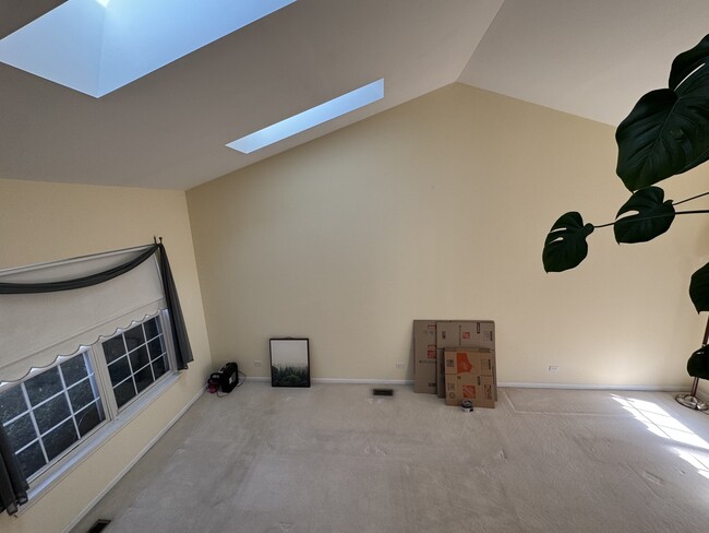 1124 Blackburn Dr in Grayslake, IL - Foto de edificio - Building Photo