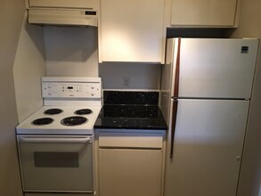 1717 park in Houston, TX - Building Photo - Building Photo