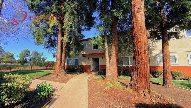 property at 2601 Cortez Dr