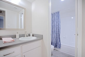 Paseo 51 in Glendale, AZ - Foto de edificio - Interior Photo