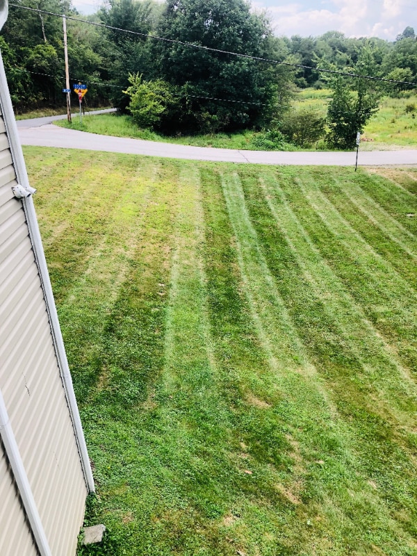 90 Southview Rd in Mcdonald, PA - Building Photo - Building Photo