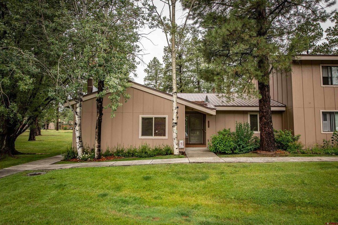 160 Pinon Causeway in Pagosa Springs, CO - Foto de edificio