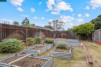5607 Lassen Ct in Clayton, CA - Foto de edificio - Building Photo