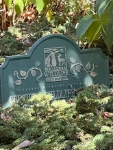 123 Gould Ave in Bedford, OH - Building Photo - Building Photo