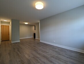 511 W Barry Ave, Unit #445-529 in Chicago, IL - Foto de edificio - Building Photo