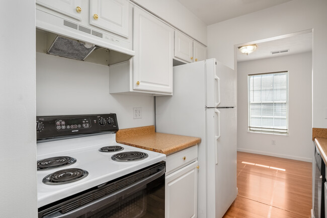 Campus View Apartments in Morgantown, WV - Building Photo - Interior Photo