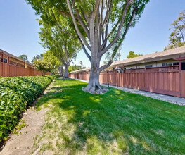 Cherry Blossom in Sunnyvale, CA - Building Photo - Building Photo