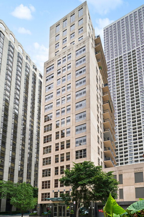 1035 N Dearborn St in Chicago, IL - Building Photo