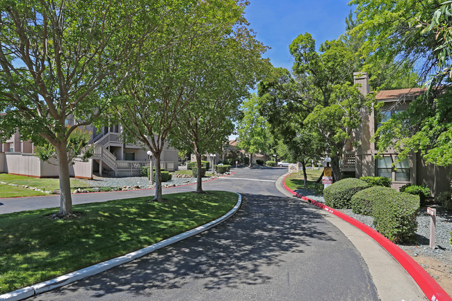 Shadowbrook Apartments in Roseville, CA - Building Photo - Building Photo