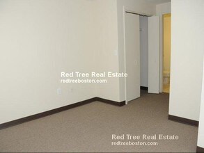 115 Mt Auburn St-Unit -202 in Cambridge, MA - Building Photo - Building Photo