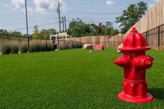 The Gallery in Huntsville, AL - Building Photo - Building Photo