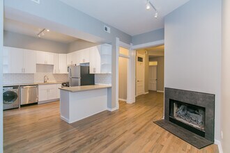 46 E Chicago Ave-Unit -3W in Chicago, IL - Building Photo - Building Photo