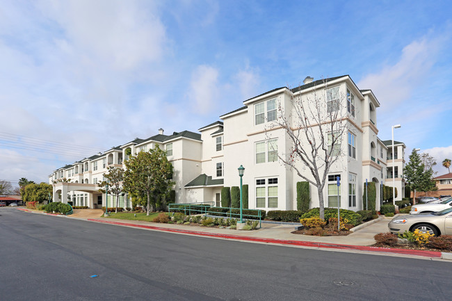 Creekview Senior Community in Orange, CA - Building Photo - Building Photo