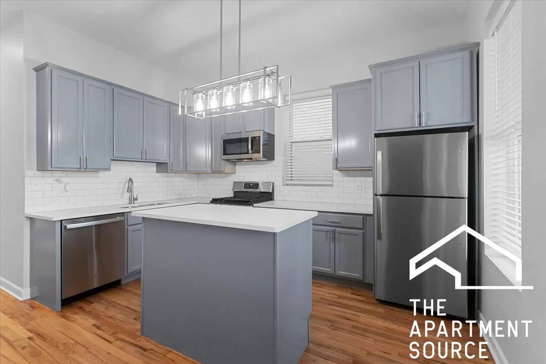 858 N Paulina St, Unit 1 in Chicago, IL - Building Photo