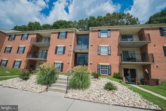 803 College Ln in Salisbury, MD - Building Photo - Building Photo