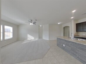 1152 Ibis Falls Loop in Jarrell, TX - Building Photo - Building Photo