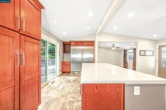 1371 Juanita Dr in Walnut Creek, CA - Building Photo - Building Photo